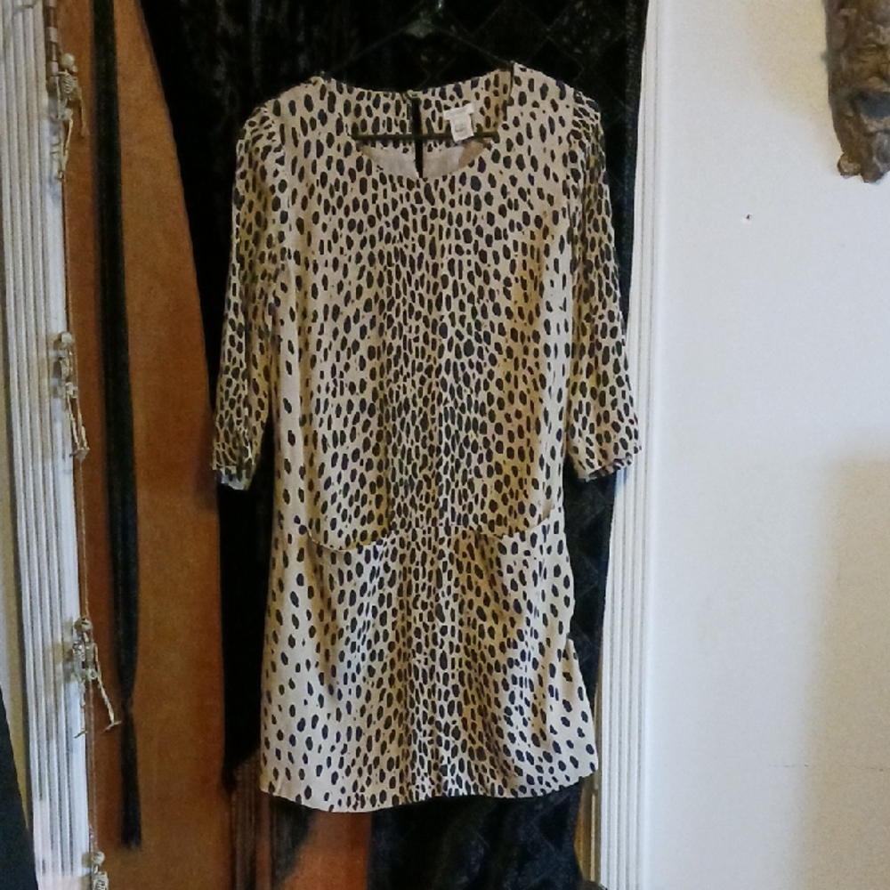 J Crew Dress